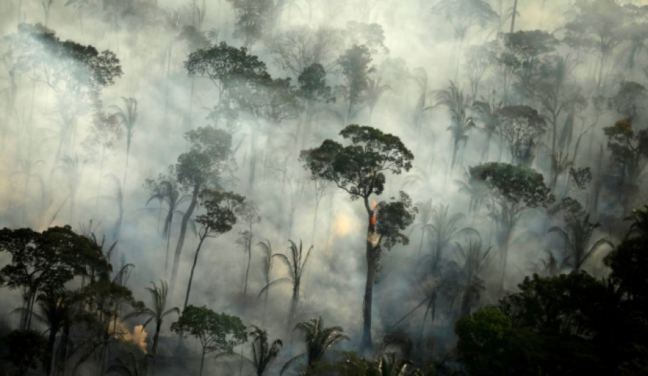 ¡Amazonía continúa en llamas! Registra Brasil mayor número de incendios desde 2007
