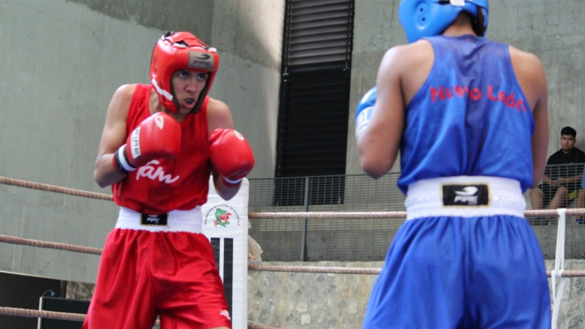 Participan pugilistas tamaulipecos en Festival Olímpico de boxeo