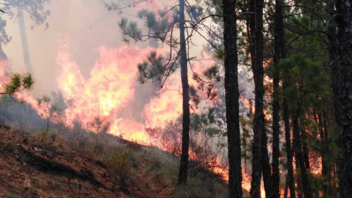 2 mil evacuado en Veracruz por incendio forestal