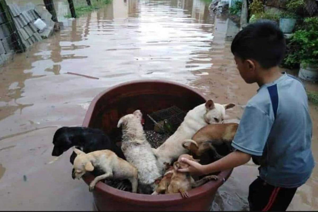 ¡El héroe de Nayarit!
