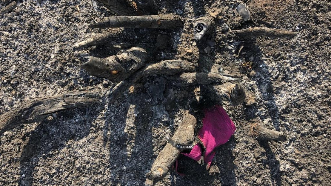 Revelan imágenes de avión accidentado en Monclova