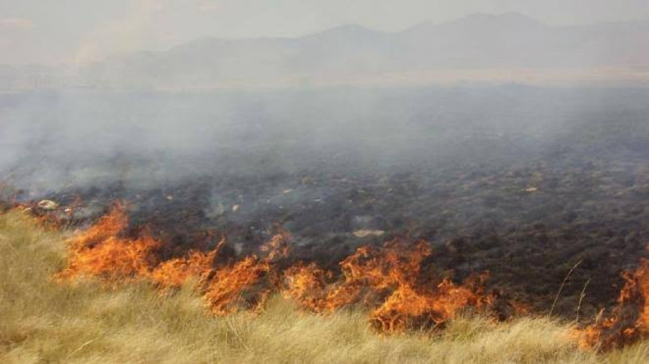 Bomberos laboran en incendio de pastizal en San Bartolo Ameyalco