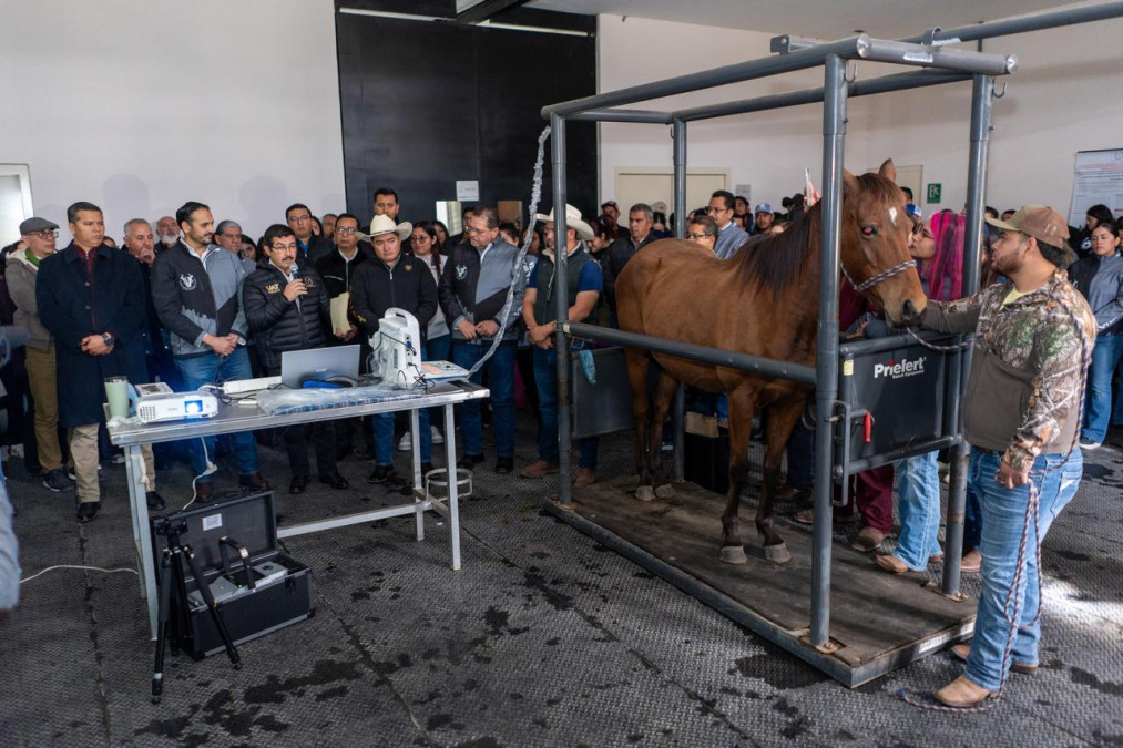Equipa la UAT con alta tecnología Hospital Veterinario de Grandes Especies