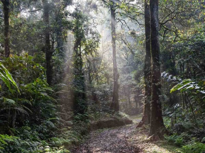 Detienen tras 6 días de persecución al “Rambo de la Selva Negra”