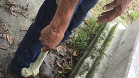 20 pesos es lo que te puede costar un hueso humano