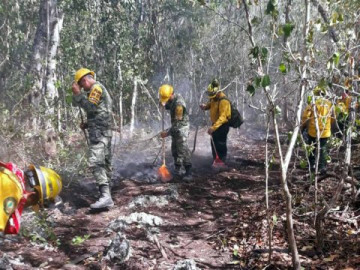 65% de avance en control de incendio en reserva de Sian Ka´an