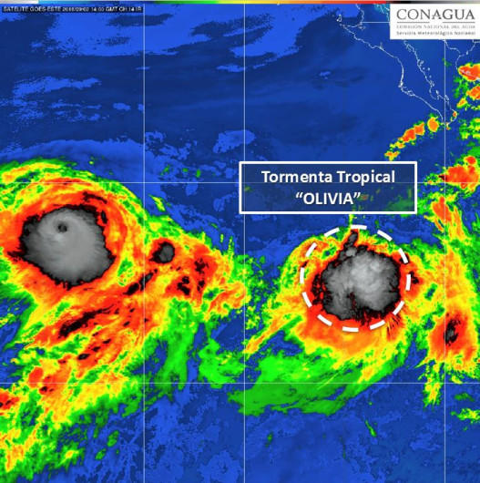 Se forma tormenta tropical Olivia en el Pacífico