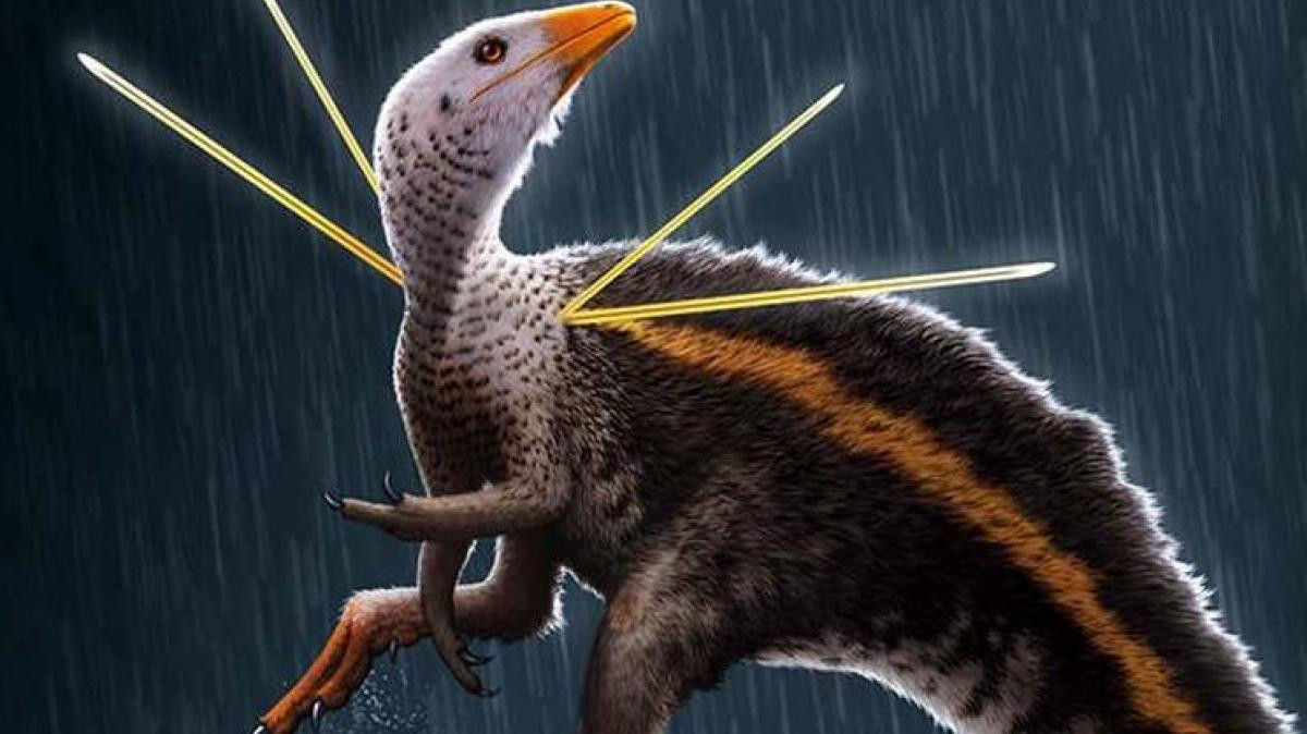 Encuentran a un dinosaurio ‘elegante’ en RU