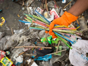 ¡No a los popotes! Yucatán se une a campaña