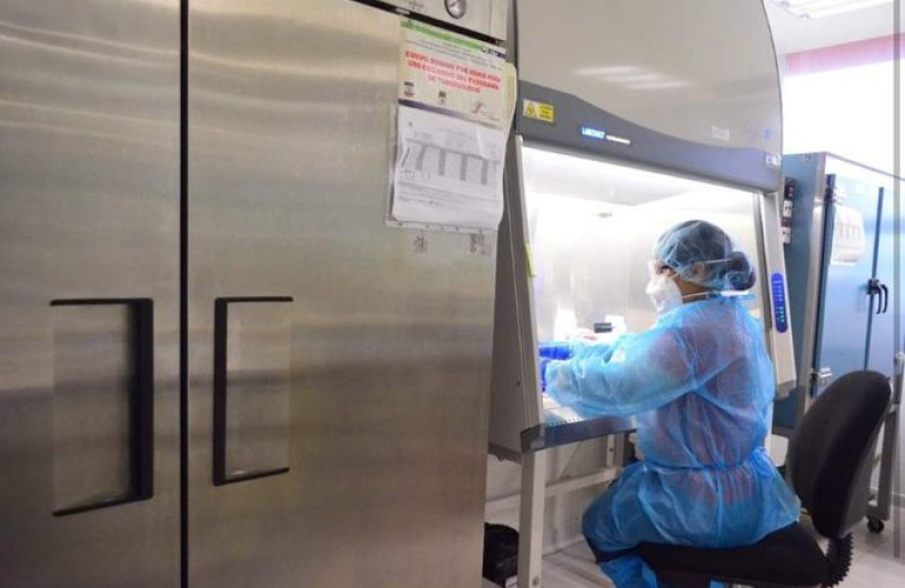 Tamaulipas registra este domingo  240 casos de COVID-19 y 13 defunciones