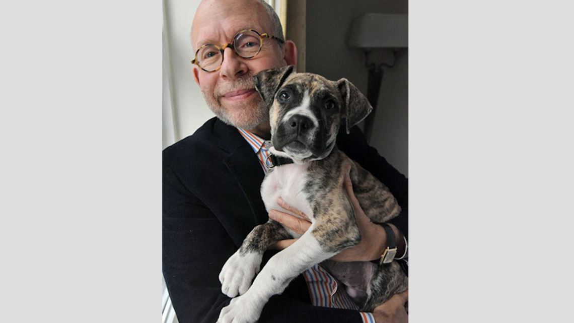 Protagonistas de Isle of dogs posan con cachorritos