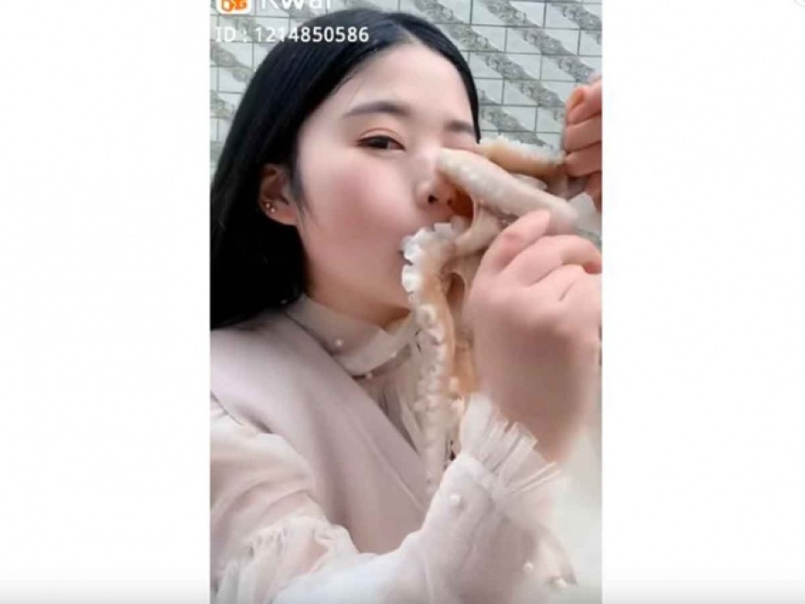 Youtuber fracasa en comerse un pulpo vivo