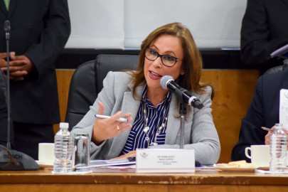 México requiere más proyectos de energías renovables: Nahle García