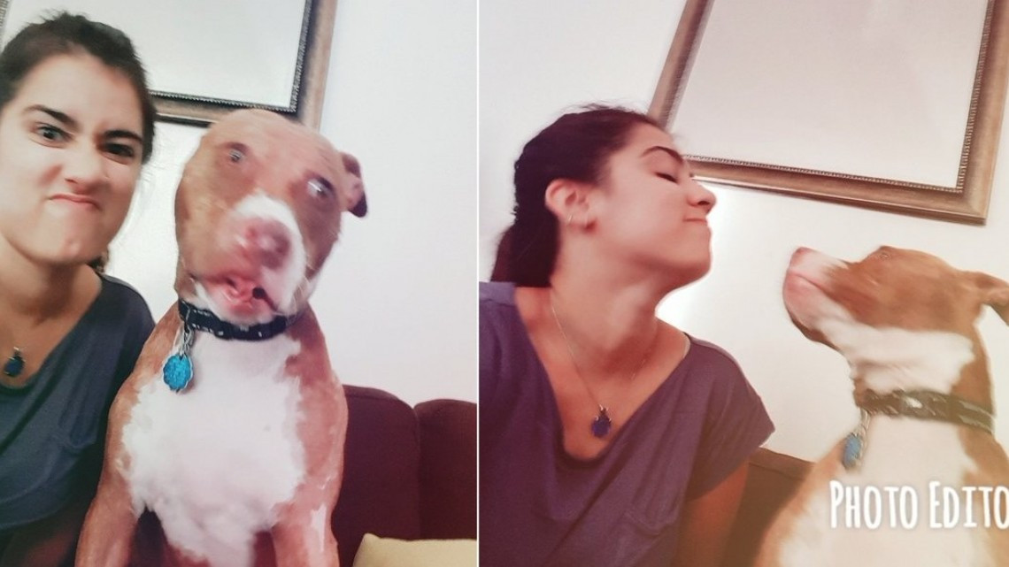 Cuando los humanos se parecen a sus mascotas