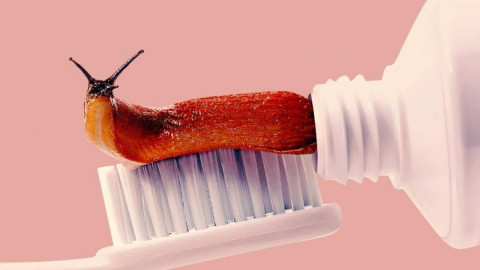 13 imágenes que engañarán a tu cerebro