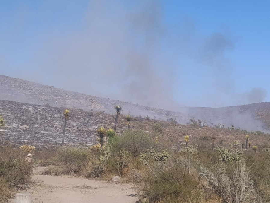 Incendio de pastizales en Tula fue provocado: PAUT