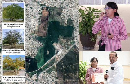 Analiza la UAT el uso de plantas nativas para recuperar suelos contaminados 