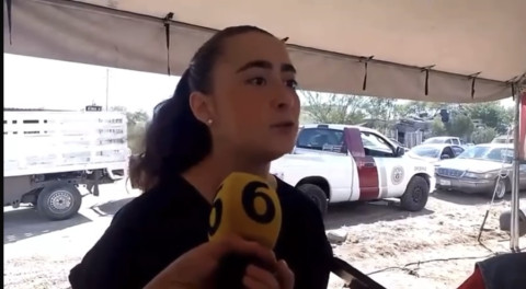 Desparasita Bienestar Animal a Más de 100 mascotas por semana