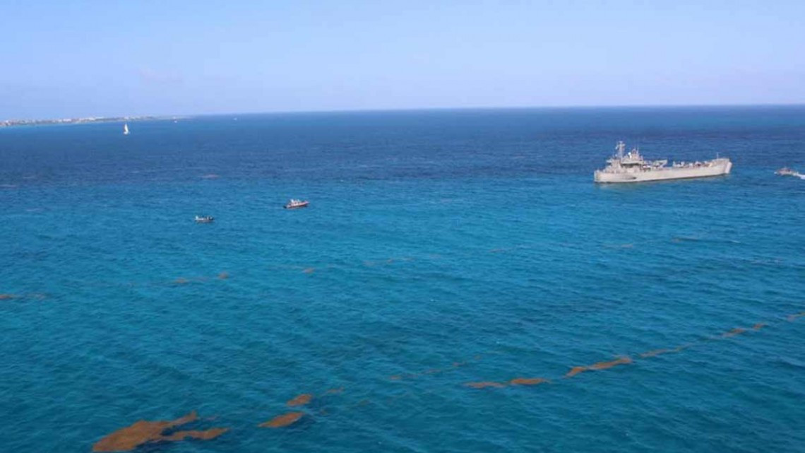 Así la Marina combate el sargazo en las costas de Quintana Roo