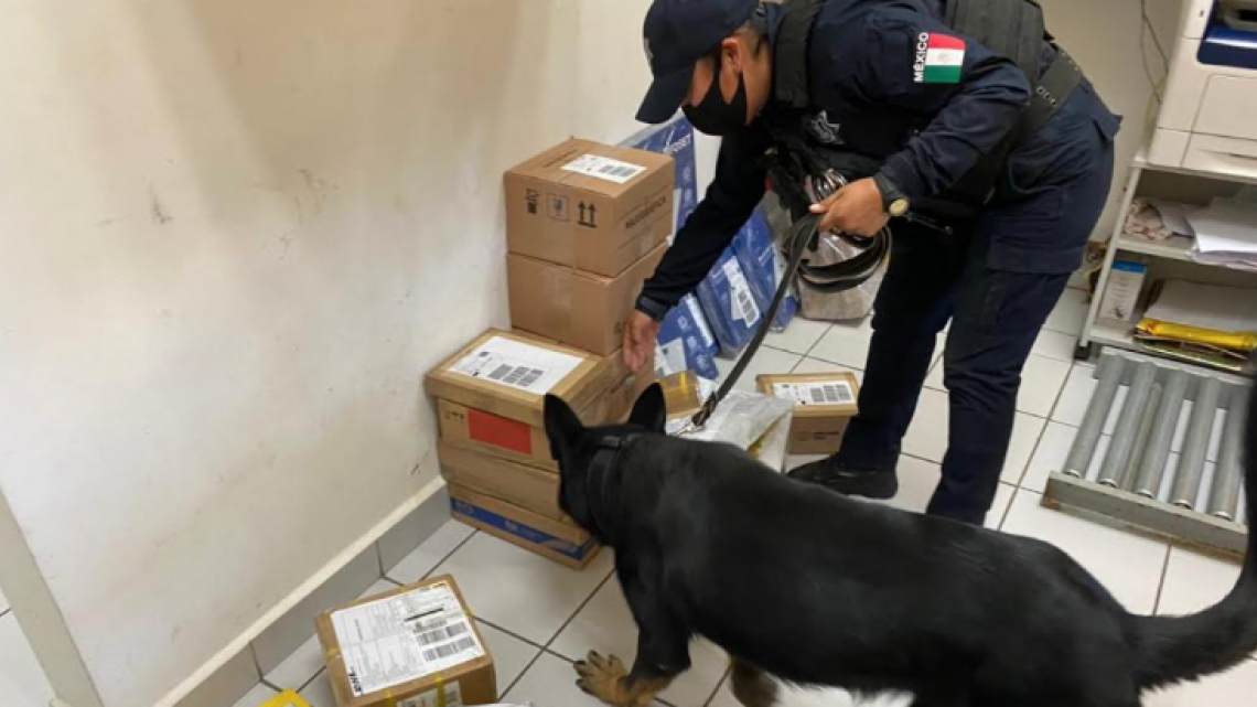 Realizan operativo policiaco en empresas de paquetería 