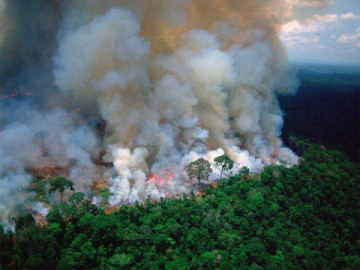  Bolsonaro culpa a ONG de incendios en la Amazonia