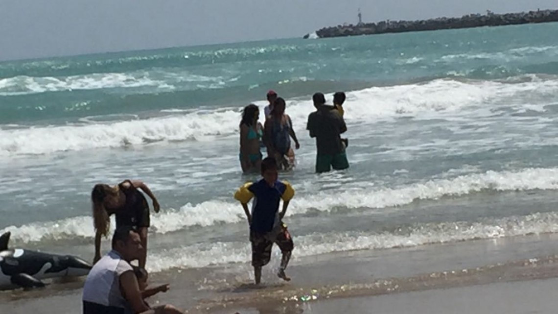 Turistas nacionales y del extranjero, resaltan calidez de la gente del sur del estado