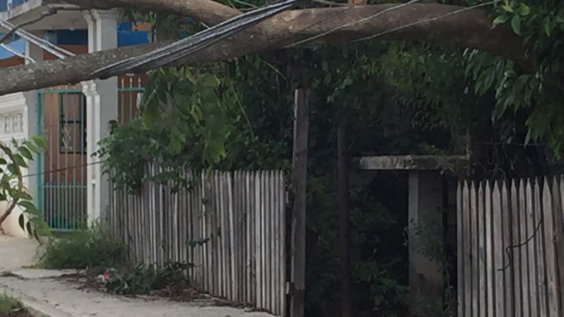 Cables de alta tensión ponen en riesgo a familias de Altamira