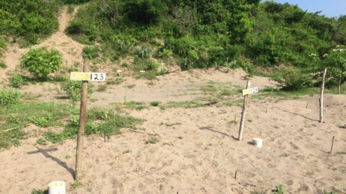 Terminan trabajos en la fosa clandestina más grande del país, Colinas de Santa Fe