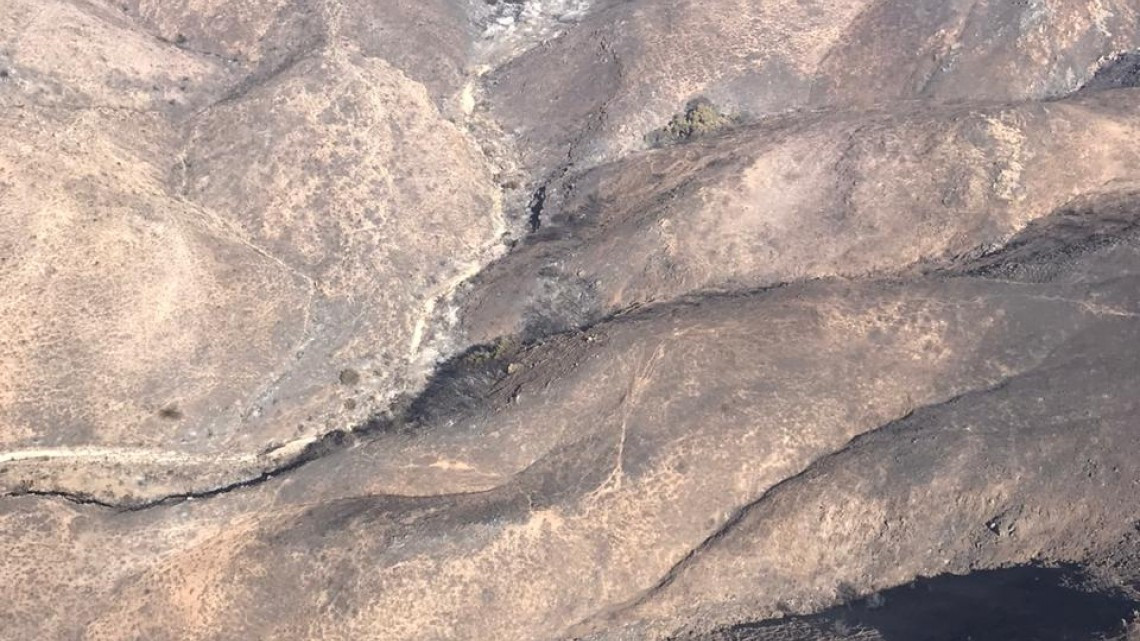 Incendios en BC dejan más de 11 mil hectáreas afectadas