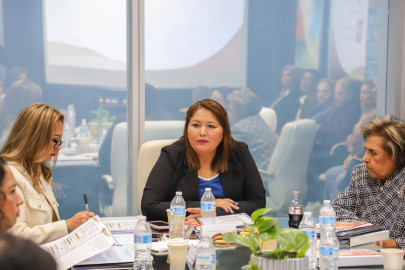 Vigilan funcionamiento de organismos autónomo