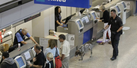 México y EU plantean poner vigilancia en vuelos