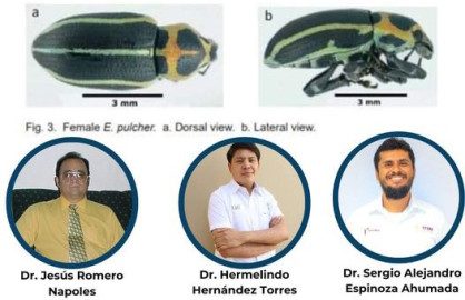 Científicos de la UAT publican avances de investigación en entomología agrícola