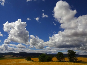 Conoce el clima de este día en Tamaulipas