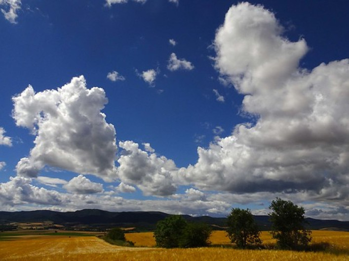 Conoce el clima de este día en Tamaulipas
