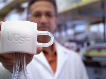 Crean primer riñón biónico