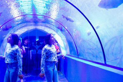 Invitan a ciudadanos a descubrir el acuario en vacaciones 