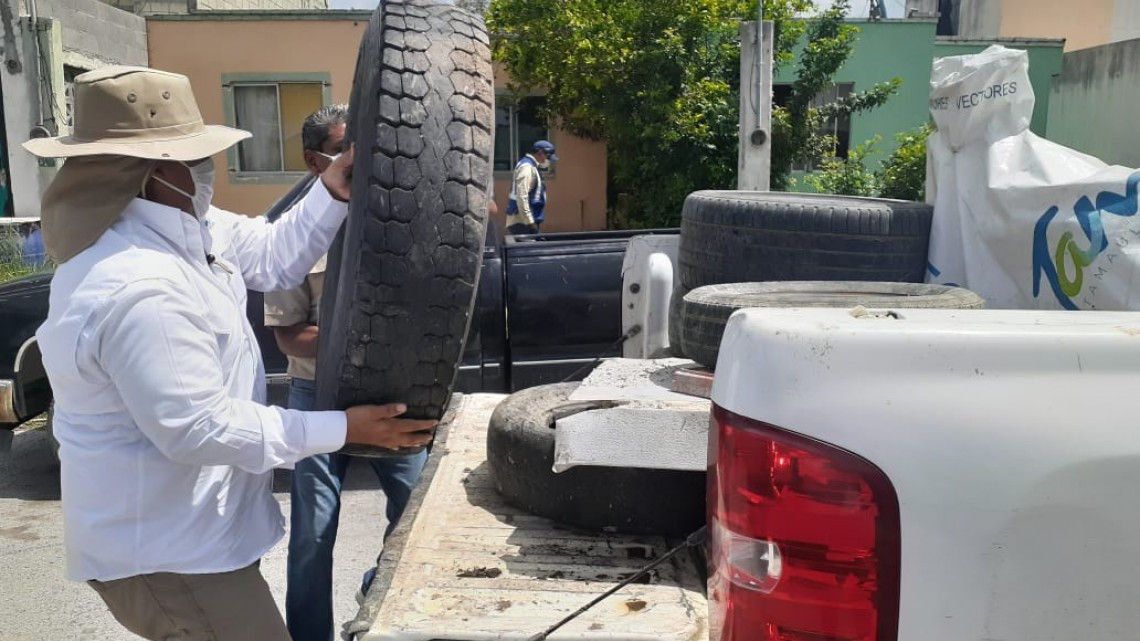 Intensifica Tamaulipas acciones simultáneas contra COVID-19, dengue y sarampión