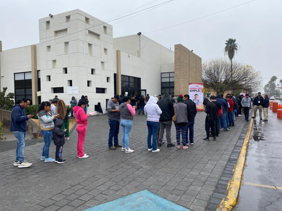 Tendrá SNE Feria del Empleo