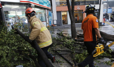  Tifón Lingling deja 2 muertos y a miles sin luz en Corea del Sur 