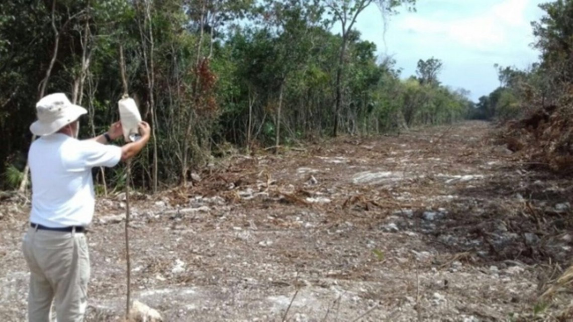 Clausuran en Quintana Roo predio