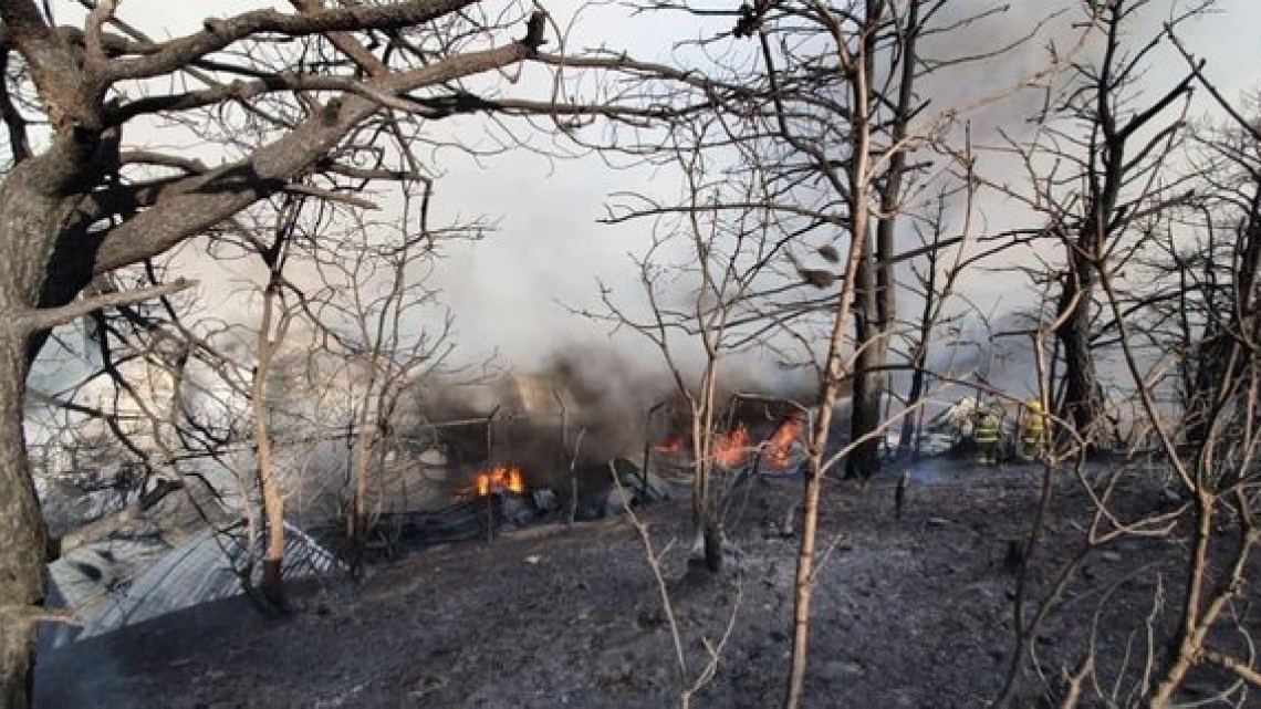 Así luce el incendio de la sierra de Oaxaca