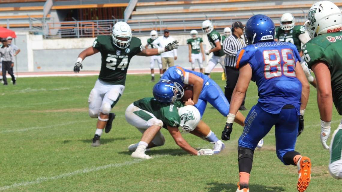 Paso perfecto del Campeón