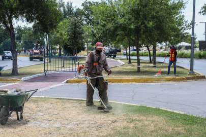 Logra Nuevo Laredo estabilidad en empleo pese a pandemia 