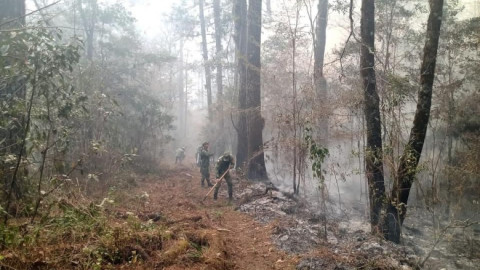 Instalan centro de acopio para apoyar a combatientes del incendio en “El Cielo”