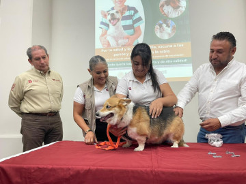 Destinan 300 mil dosis antirrábicas en Tamaulipas