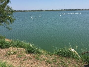 Comapa ha disminuido niveles de contaminación: Maki Ortiz