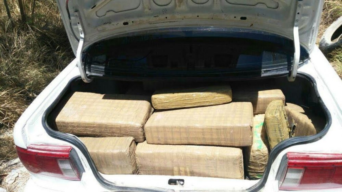 Policía Estatal Aseguran 100 paquetes de marihuana