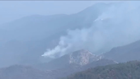 Proyectan reforestación del Cañón del Novillo