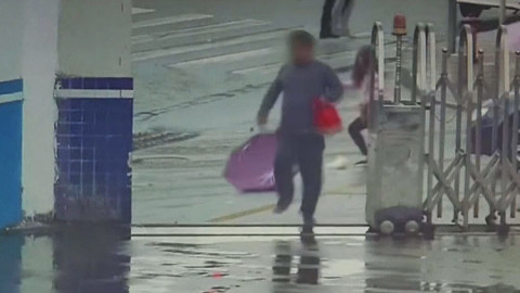 Difunden vídeo del 'ladrón más torpe del siglo'