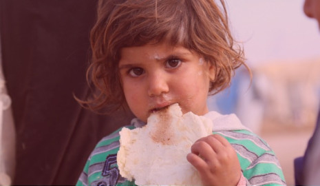 Conflictos e inseguridad incrementan índices de hambre aguda en el mundo: FAO